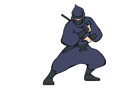Ninja02
