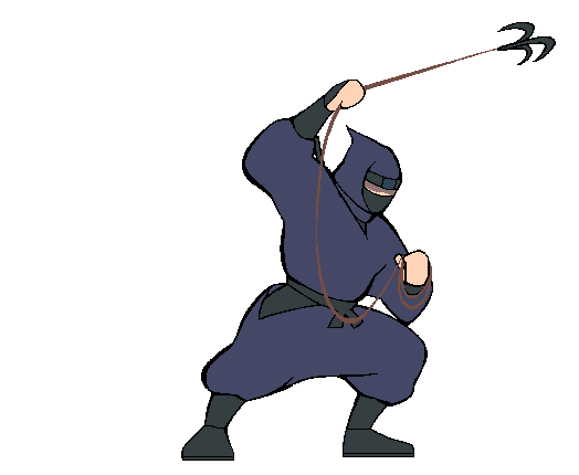 Ninja03